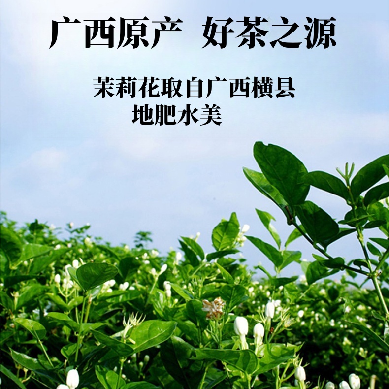 详情页-01_03_副本.jpg